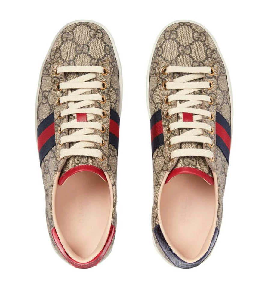 商品Gucci|GG Supreme Canvas Ace Sneakers,价格¥5688,第2张图片详细描述