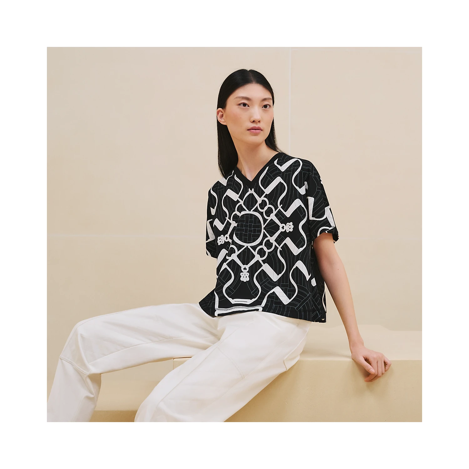 商品Hermes|【预售】 爱马仕 24秋冬 女士 短袖T恤 T-shirt col V imprimé « Mors à Jouets Détouré Tatoo » H4H4630DD02,价格¥7257,第1张图片