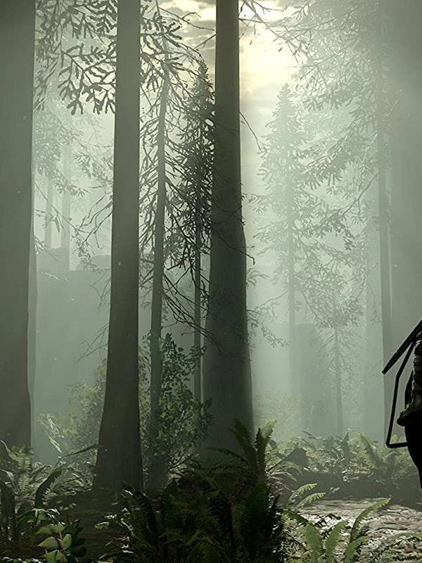 商品SONY|Shadow of the Colossus PS4,价格¥188,第2张图片详细描述