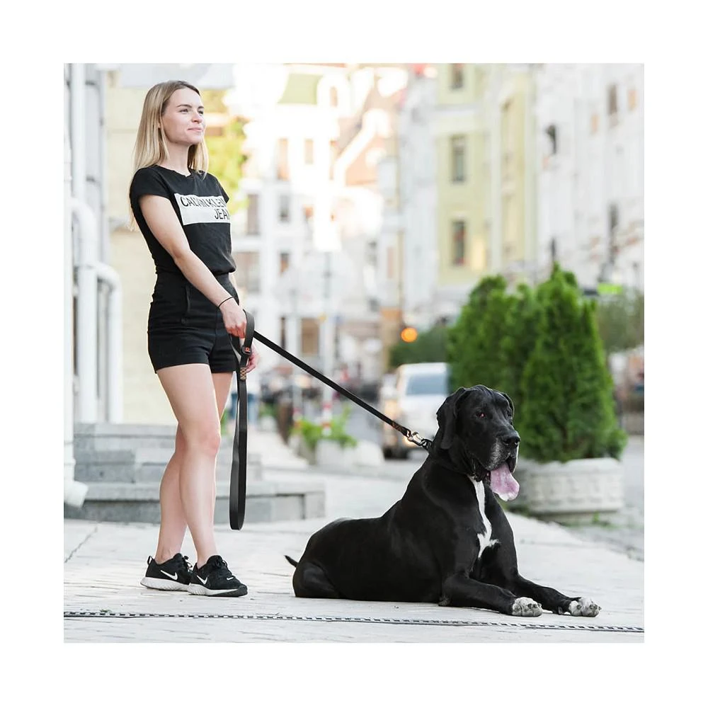 商品Waudog|World's strongest dog leash,价格¥335,第3张图片详细描述