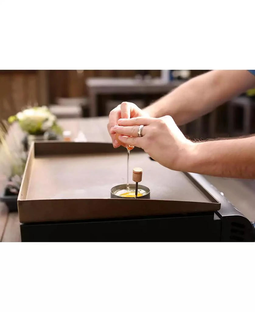 CGG501 Gourmet Two Burner Gas Griddle 商品