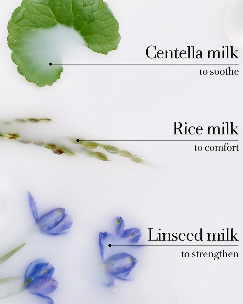 商品Fresh|1.6 oz. Milk Intensive Hand Cream,价格¥146,第7张图片详细描述