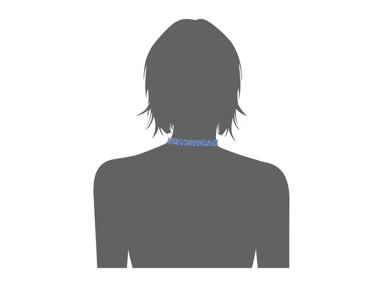 商品Vanessa Mooney|The Jaclyn Choker Necklace,价格¥209,第2张图片详细描述