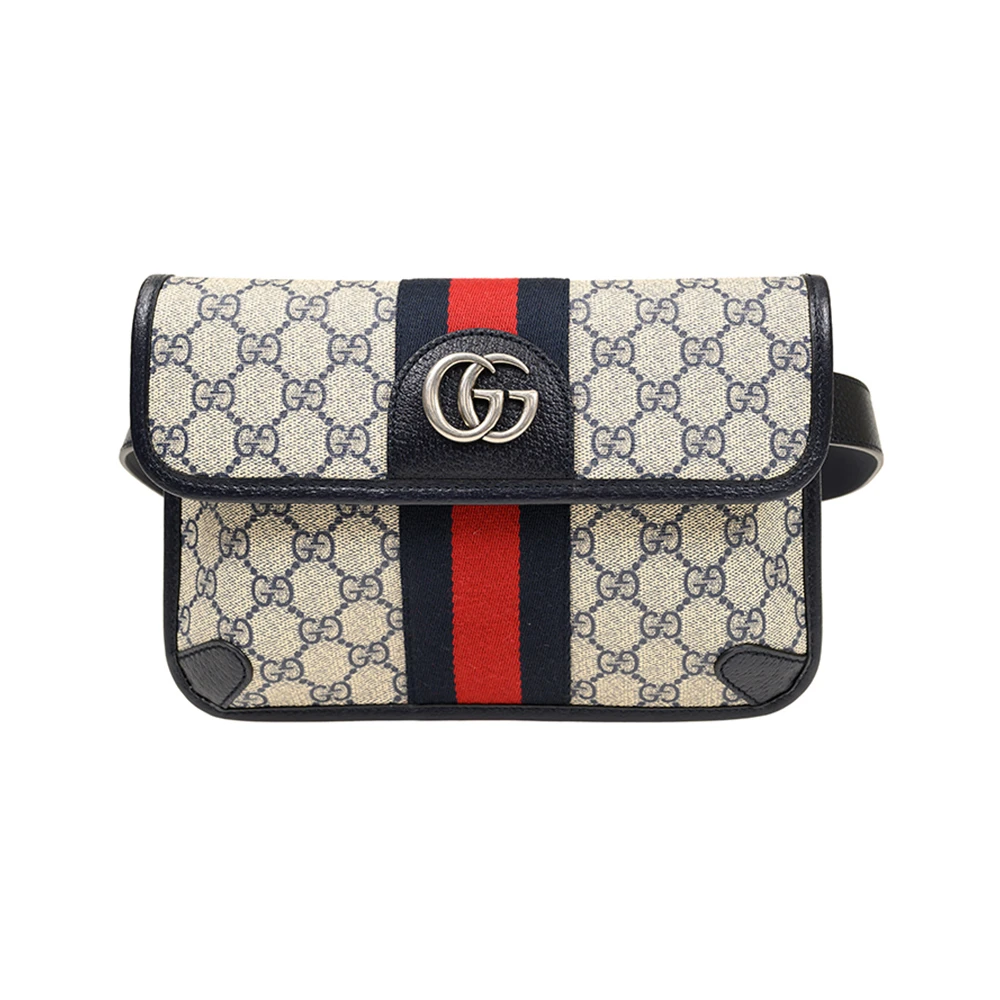 商品[国内直发] Gucci|GUCCI 拼色女士腰包 674081-96IWN-4076,价格¥9008,第1张图片