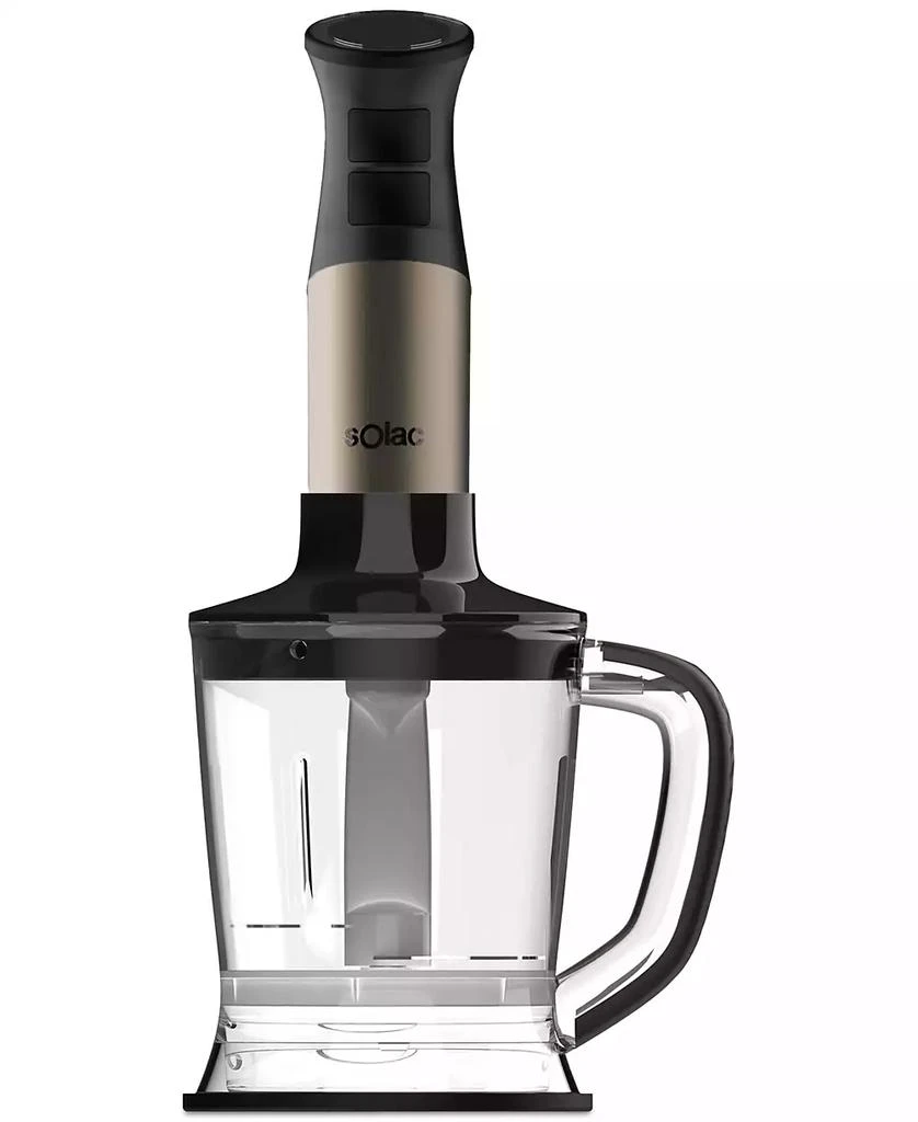 Professional Stainless Steel 1000W Hand Blender 商品