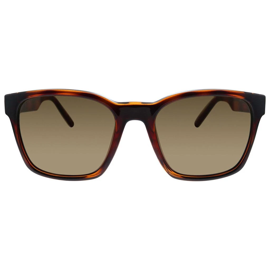商品Salvatore Ferragamo|Ferragamo Men's Sunglasses SF959S-5518214,价格¥522,第2张图片详细描述