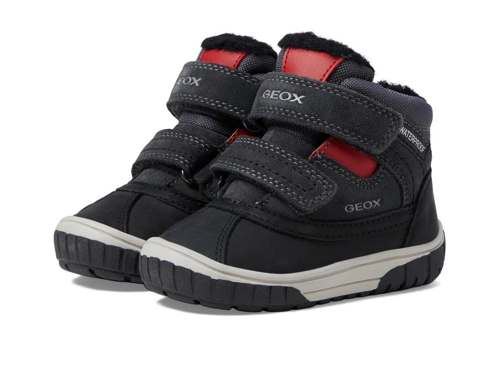 商品Geox|Omar WPF7 (Toddler),价格¥466,第1张图片