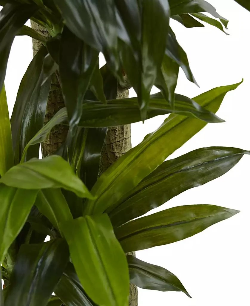 商品NEARLY NATURAL|5.5' Corn Stalk Dracaena Artificial Plant in Black-Washed Planter,价格¥2391,第3张图片详细描述