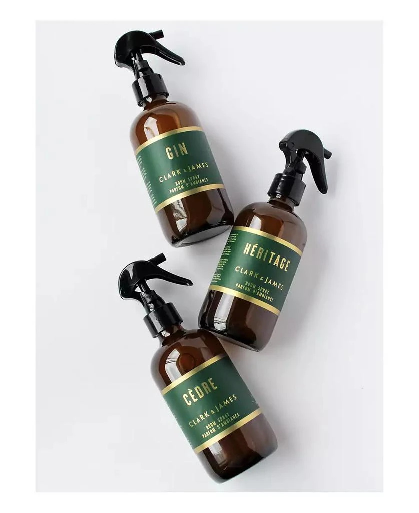 商品Dot & Lil|Clark & James Gin Room Spray,价格¥210,第3张图片详细描述