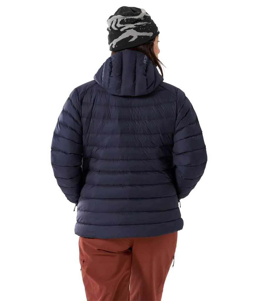 商品Arc'teryx|Cerium Hoodie,价格¥3179,第2张图片详细描述