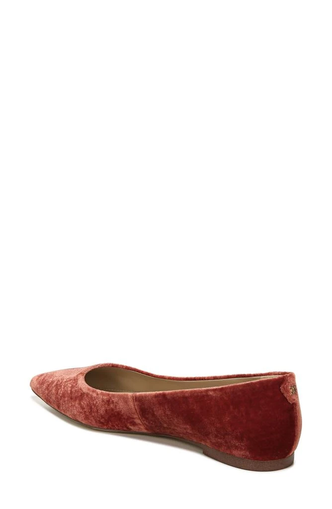 商品Sam Edelman|Wanda Pointed Toe Flat - Wide Width Available,价格¥342,第2张图片详细描述