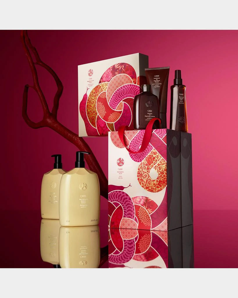 Hair Alchemy Liter Set 商品
