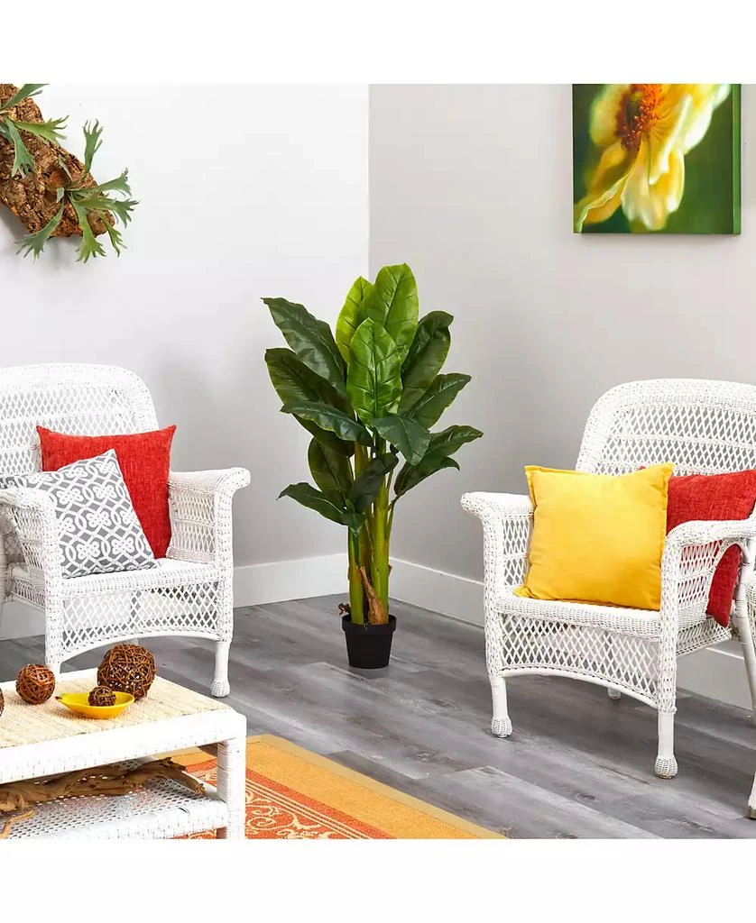 商品NEARLY NATURAL|Triple Stalk Banana Tree, Real Touch,价格¥659,第4张图片详细描述
