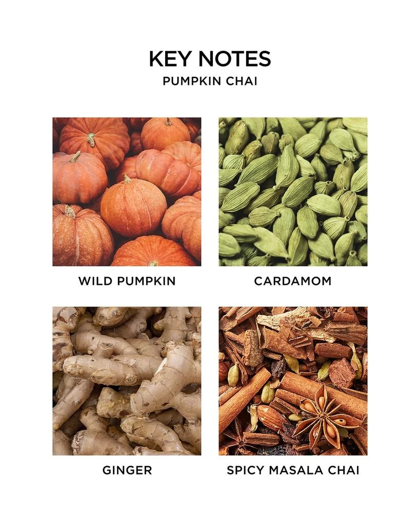 商品NEST New York|Pumpkin Chai Smart Home Diffuser Refill Set,价格¥278,第3张图片详细描述