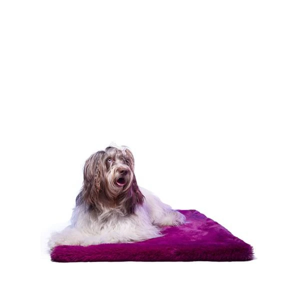 商品Le Tapis Rouge|The Tokyo Carpet rug,价格¥1078,第1张图片