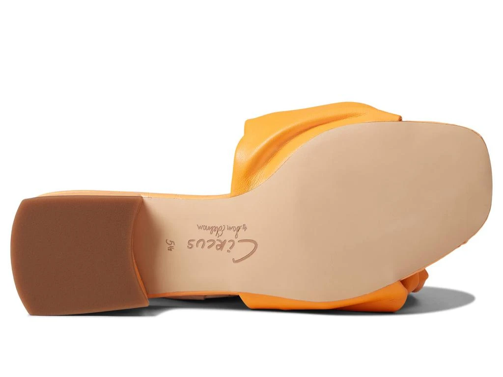 商品Sam Edelman|Janis,价格¥285,第3张图片详细描述