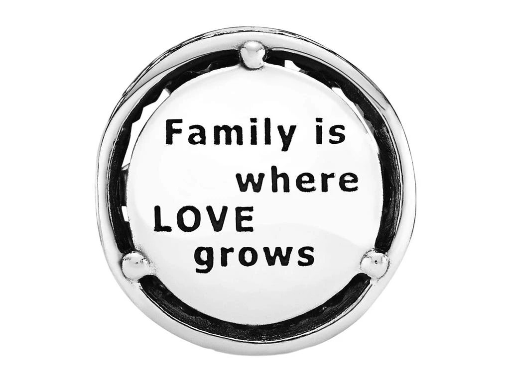 商品PANDORA|Openwork Family Roots Charm,价格¥204,第2张图片详细描述