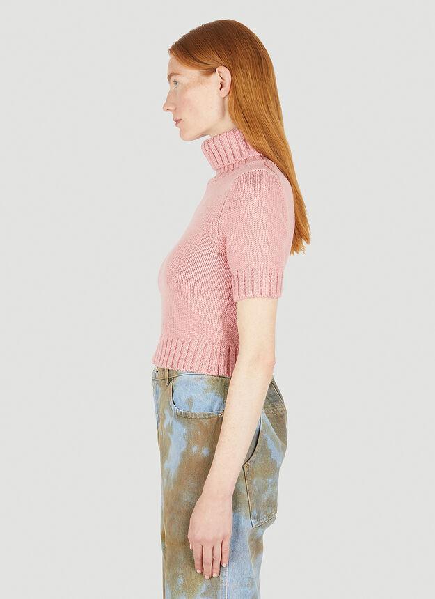 商品Acne Studios|Roll Neck Knit Top in Pink,价格¥1170,第5张图片详细描述