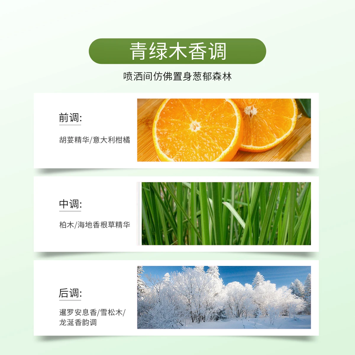 宝格丽城市森林男士香水组合（香水100ml+香水15ml） 商品