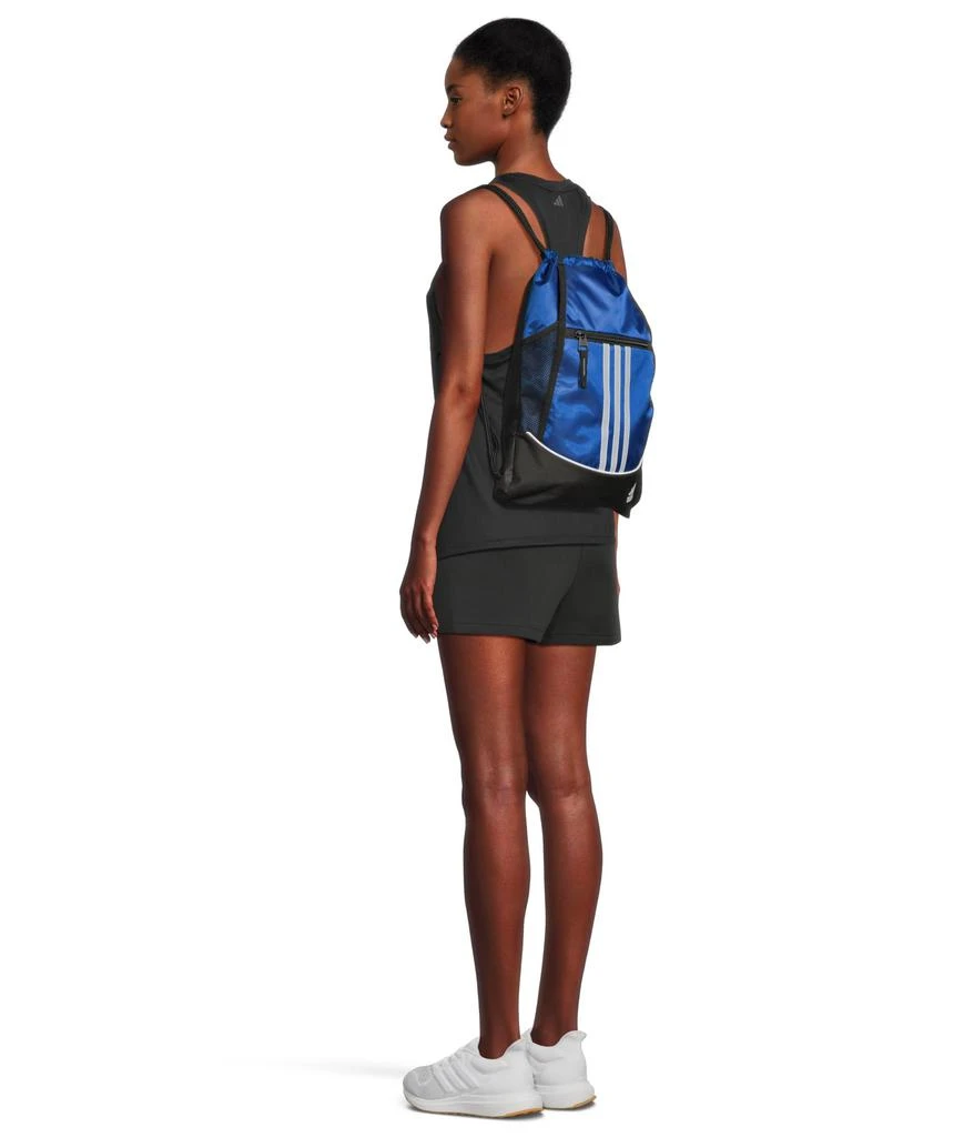 Alliance II Sackpack 商品