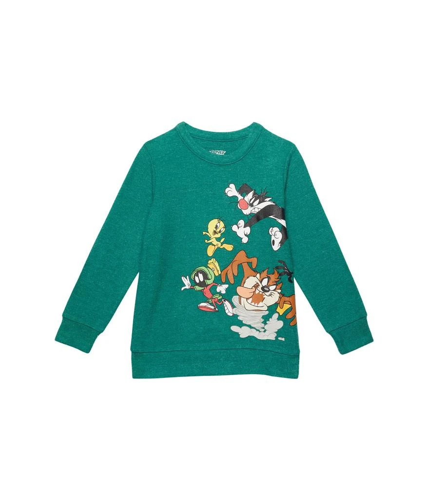 商品Chaser|Looney Tunes Group Pullover (Little Kids/Big Kids),价格¥162,第1张图片