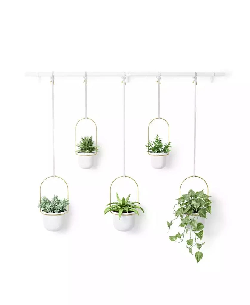 商品Umbra|Triflora Hanging Planter, Set of 5,价格¥1000,第4张图片详细描述