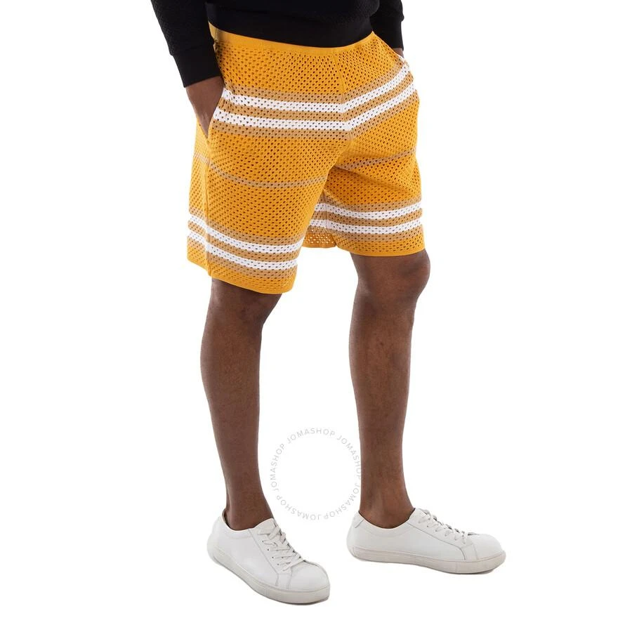 商品Burberry|Marigold Morriss Icon Stripe Pointelle Knit Shorts,价格¥1072,第2张图片详细描述