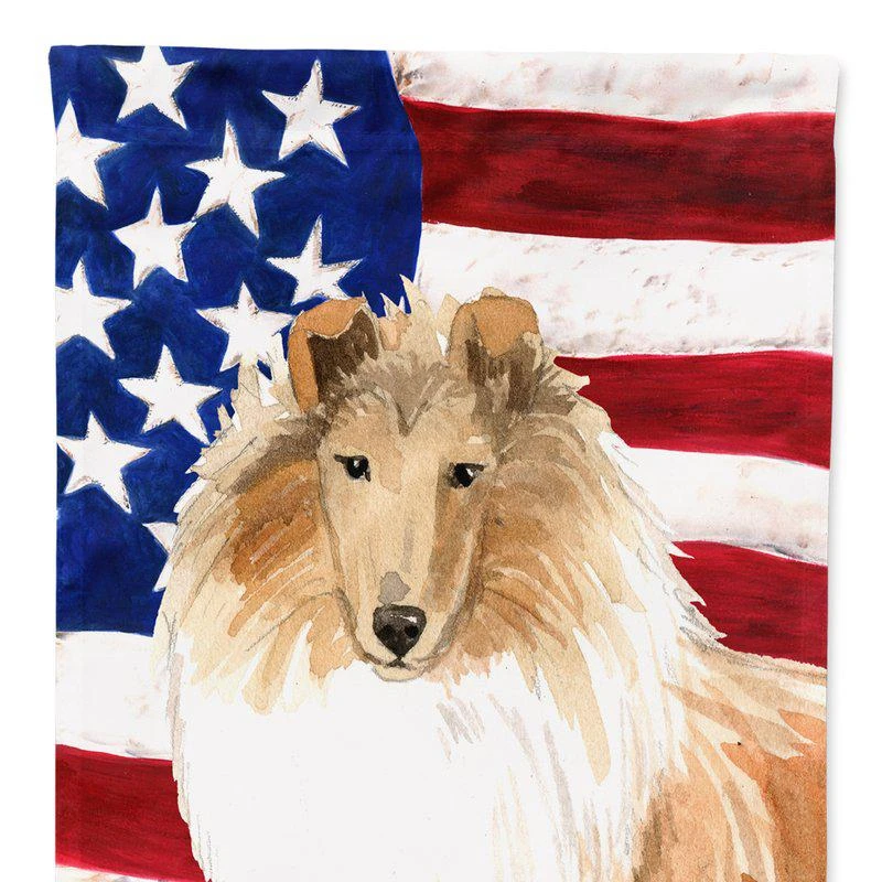 商品Caroline's Treasures|28 x 40 in. Polyester Patriotic USA Rough Collie Flag Canvas House Size 2-Sided Heavyweight,价格¥329,第1张图片