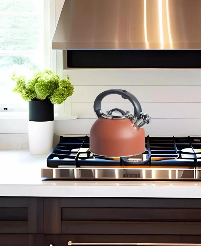 商品Oggi|1.9 Litre Whistling Tea Kettle,价格¥497,第3张图片详细描述