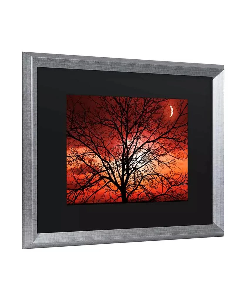 商品Trademark Global|Philippe Sainte-Laudy Big Bad Moon Matted Framed Art - 20" x 25",价格¥556,第2张图片详细描述