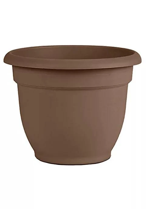 商品belk|Bloem 20 56312Ch Ariana Planter With Self Watering Disk Chocolate   12,价格¥185,第1张图片
