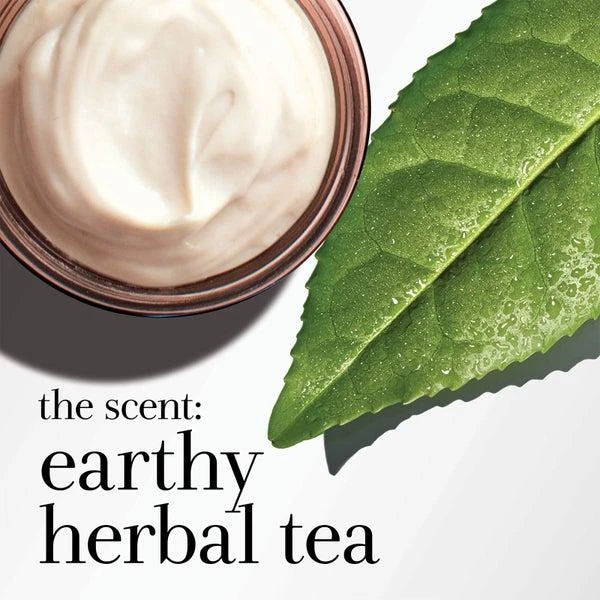 Fresh Black Tea Firming Overnight Mask 30ml 商品