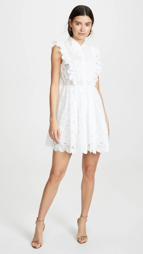 商品Self Portrait|Self Portrait Leaf Broderie Anglaise Mini Dress,价格¥1802,第5张图片详细描述