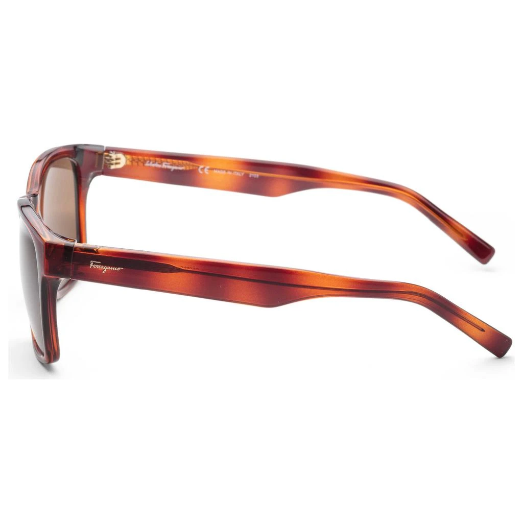 商品Salvatore Ferragamo|Ferragamo Men's Sunglasses SF959S-5518214,价格¥522,第3张图片详细描述