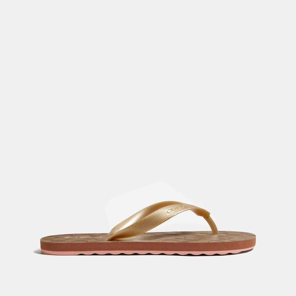 商品Coach|Coach Outlet Zak Flip Flop,价格¥337,第2张图片详细描述