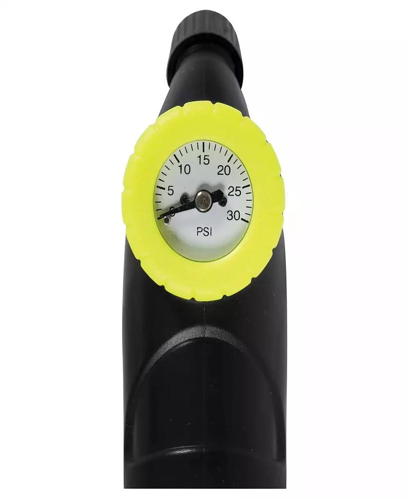 商品Franklin|Perfect Pump and Pressure Gauge,价格¥241,第2张图片详细描述