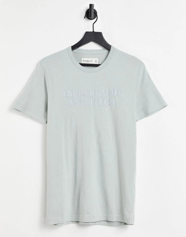 商品Abercrombie & Fitch|Abercrombie & Fitch tech tonal front logo t-shirt in green,价格¥106,第1张图片