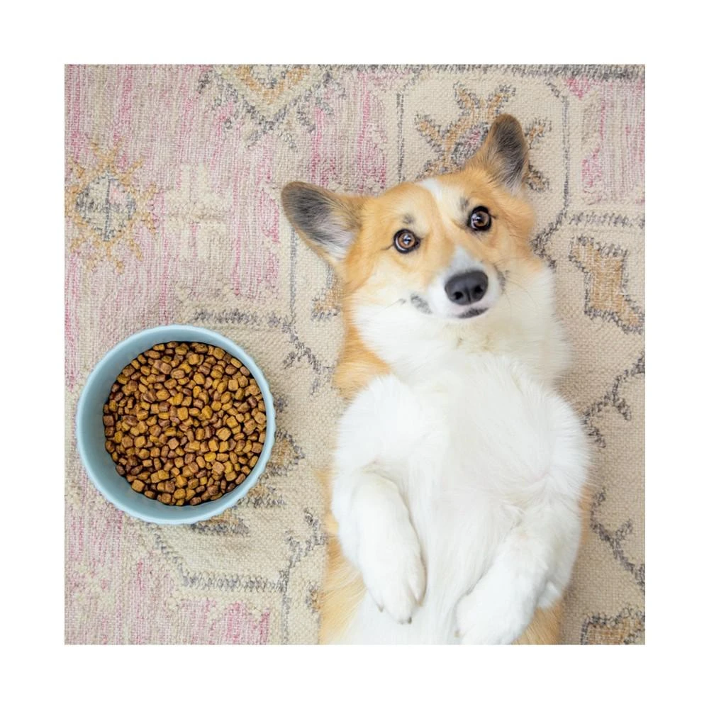 商品Waggo|Ripple Dog Bowl Cloud -,价格¥209,第2张图片详细描述