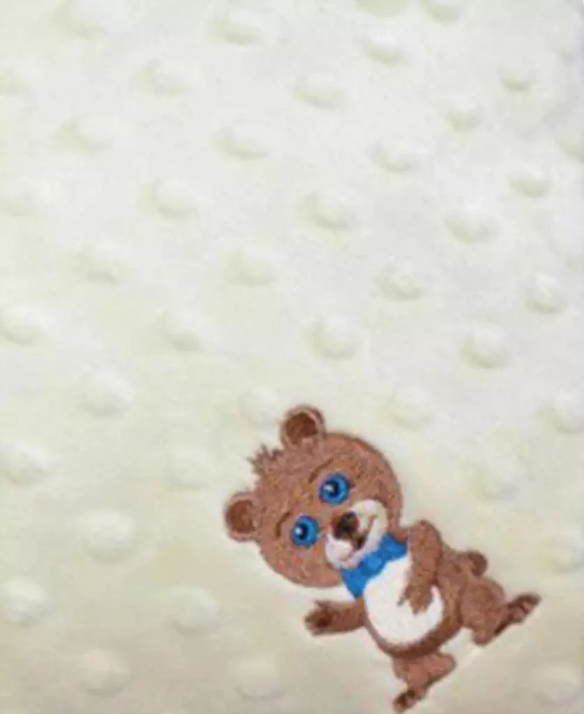 商品Lil' Cub Hub|Minky Baby Boy Blanket With Embroidered Boy Bear,价格¥382,第3张图片详细描述