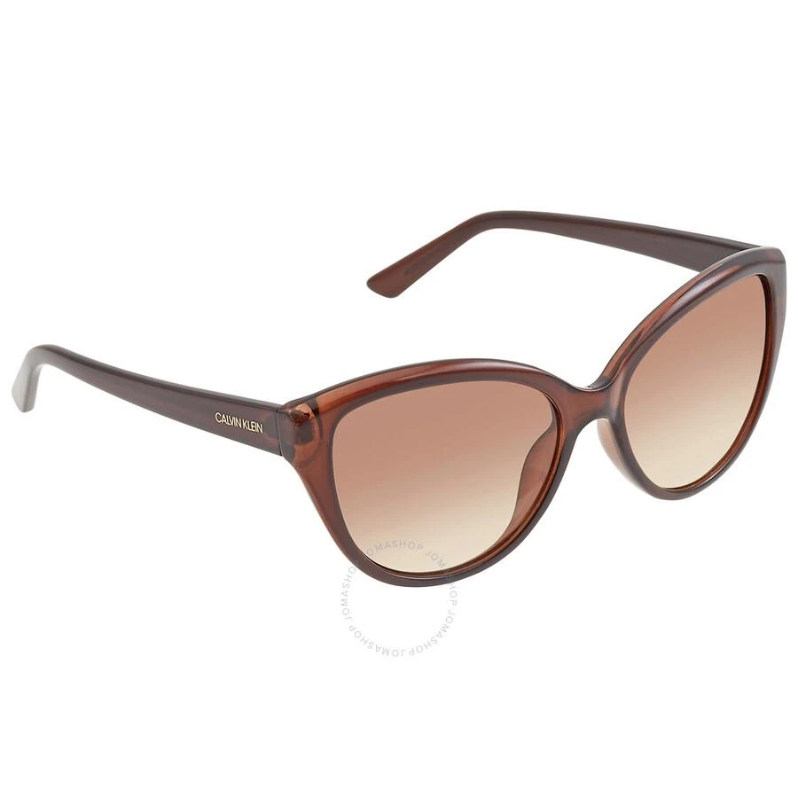 商品Calvin Klein|Brown Gradient Cat Eye Ladies Sunglasses CK19536S 210 55,价格¥186,第3张图片详细描述