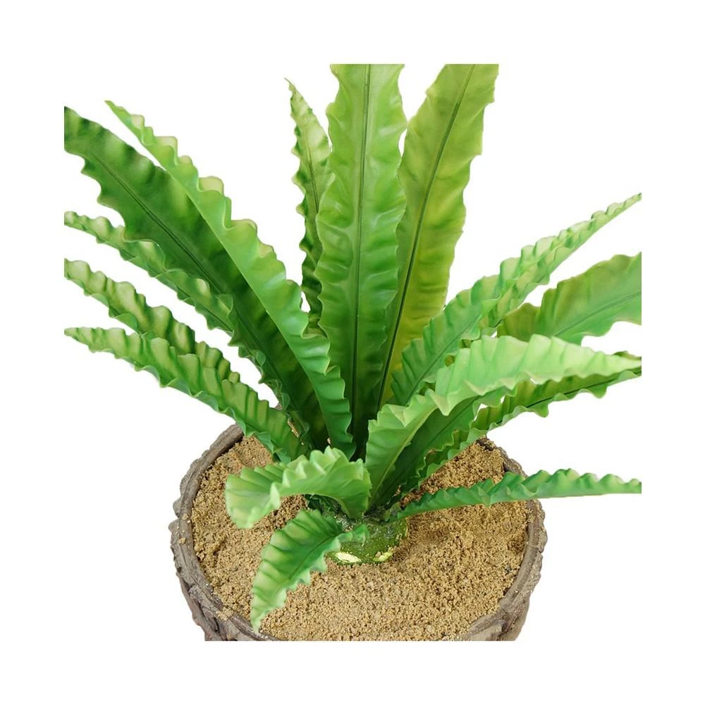 商品Vintage Home|45.5" Real Touch Agave in Fiberstone Planter,价格¥4857,第3张图片详细描述