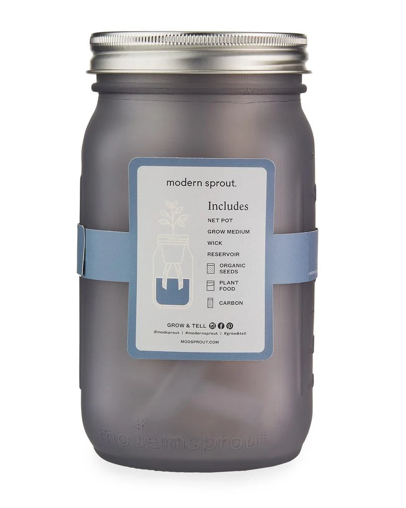 商品Modern Sprout|Garden Jar - Mint,价格¥92,第4张图片详细描述