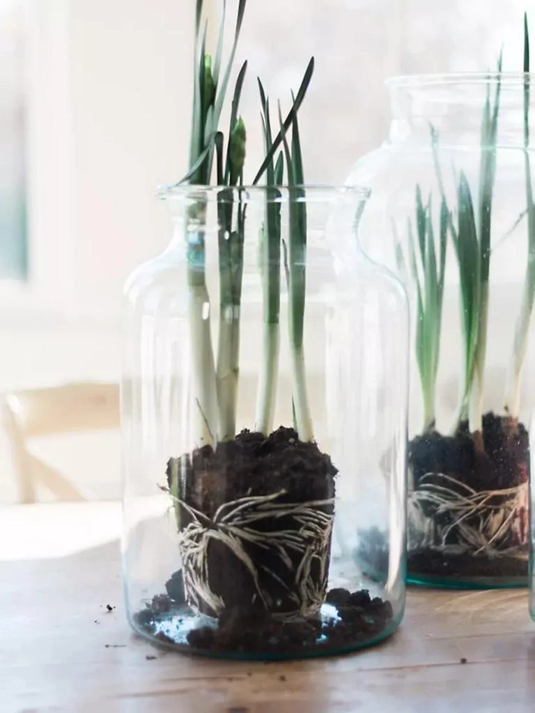 商品etúHome|Glass Mason Jar,价格¥494,第4张图片详细描述