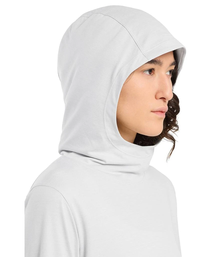 商品Arc'teryx|Taema Hoodie,价格¥516,第4张图片详细描述