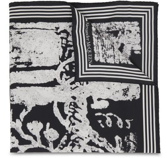 商品Alexander McQueen|Blake Skeleton 围巾,价格¥1315,第1张图片