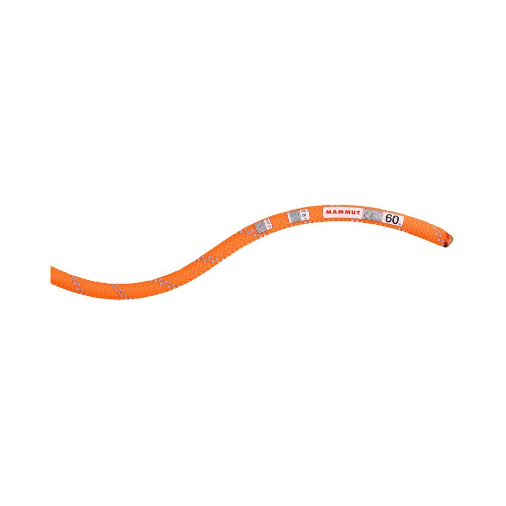 商品Mammut|MAMMUT - 9.5 ALPINE DRY ROPE - 60m - Safety Orange-Zen,价格¥1911,第2张图片详细描述