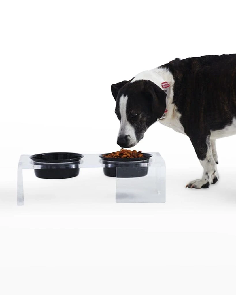 商品HIDDIN|Clear Panel Double Pet Bowl Feeder,价格¥1084,第1张图片