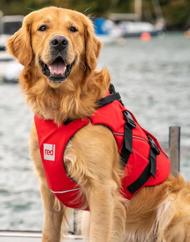 商品Red Paddle Co|Dog PFD,价格¥577,第2张图片详细描述