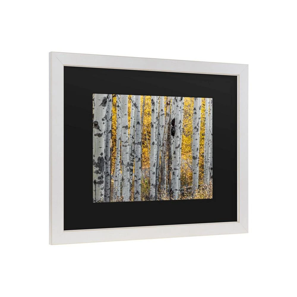 商品Trademark Global|Pierre Leclerc Aspen Trees Matted Framed Art - 20" x 25",价格¥432,第2张图片详细描述