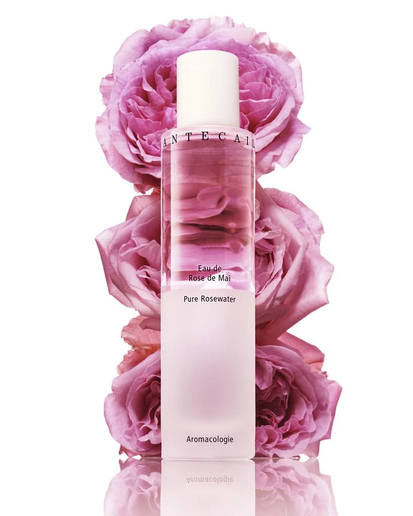 商品Chantecaille|五月玫瑰水 3.4 oz.,价格¥659,第2张图片详细描述